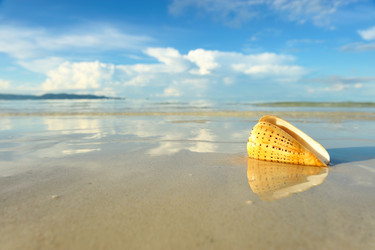 Similar image 975673