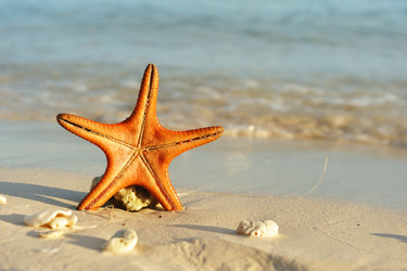 Similar image 975685