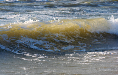 Similar image 975743