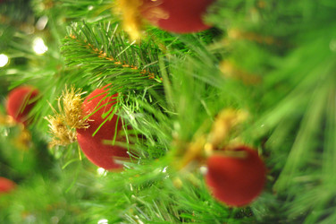 Similar image 975777