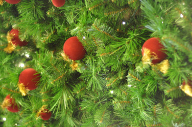 Similar image 975782