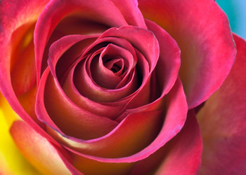 Similar image 975866