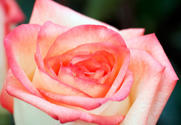 Similar image 975870