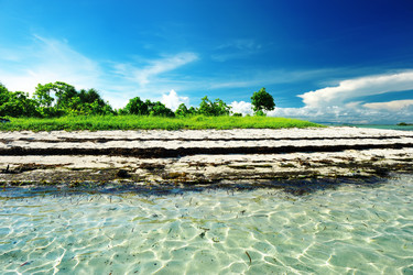 Similar image 975886