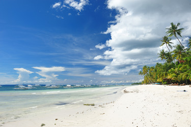 Similar image 975887