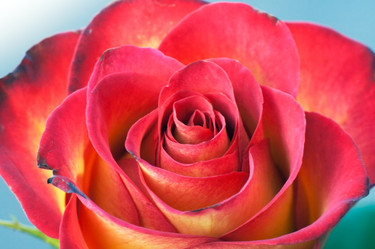 Similar image 975889