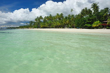 Similar image 975890