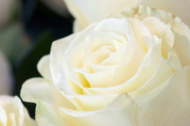 Similar image 975892