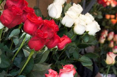 Similar image 975912