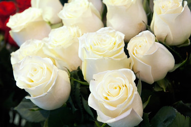 Similar image 975918