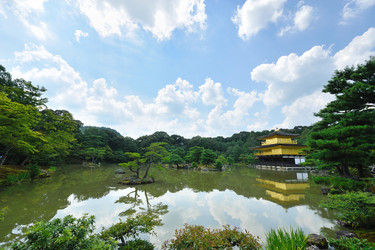 Similar image 975984