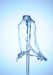 Similar image 975993