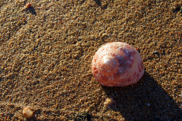 Similar image 975996