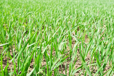 Similar image 976011