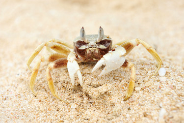 Similar image 976053