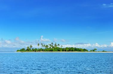 Similar image 976083