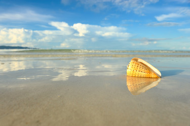 Similar image 976096