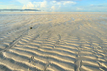 Similar image 976095