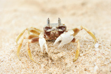 Similar image 976097