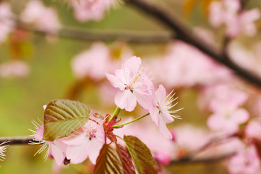 Similar image 976124