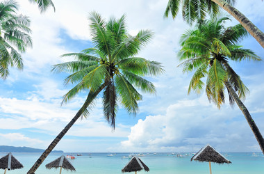 Similar image 976129