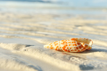 Similar image 976134