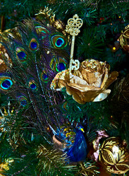 Similar image 976203