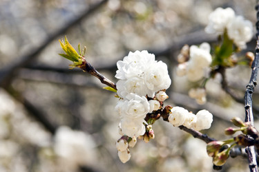 Similar image 976229