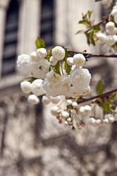 Similar image 976230