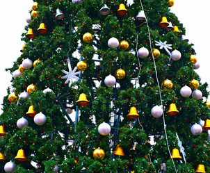 Similar image 976256