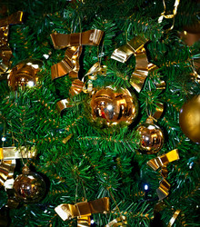 Similar image 976259