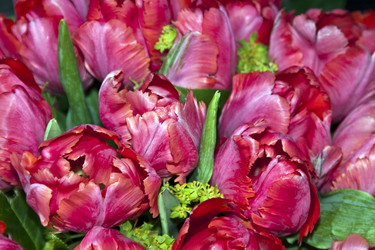 Similar image 976272