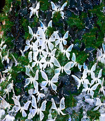 Similar image 976274