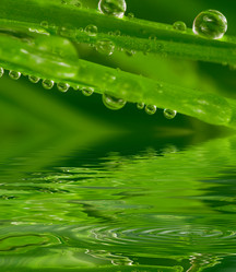 Similar image 976310