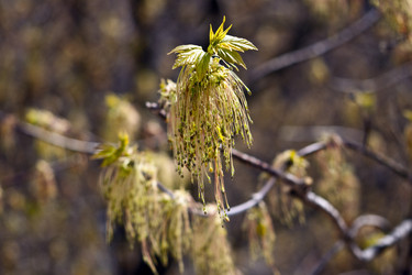 Similar image 976317