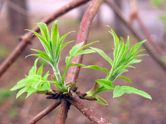 Similar image 976322