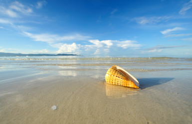 Similar image 976394