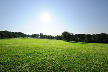 Similar image 976411