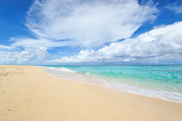 Similar image 976433