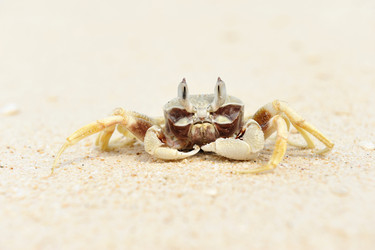 Similar image 976449