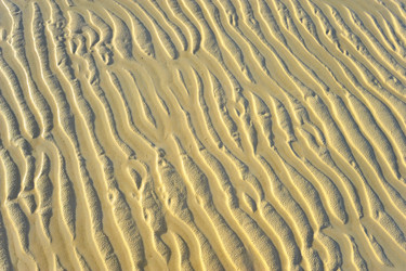 Similar image 976471