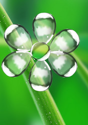 Similar image 976499