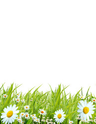 Similar image 976572