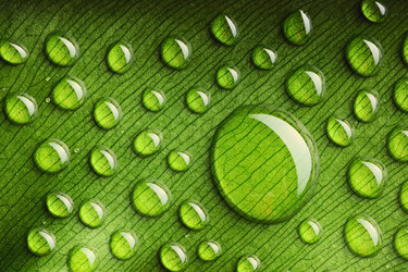 Similar image 976579