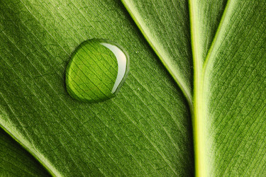 Similar image 976589