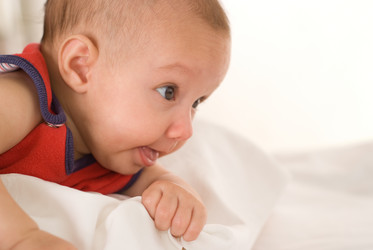 Similar image 976728