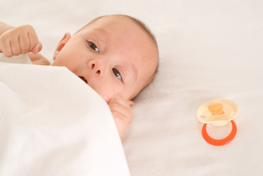 Similar image 976729