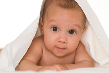 Similar image 976732