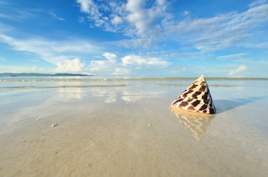 Similar image 976740