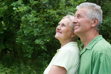 Similar image 976743